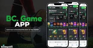 Understanding the BC.Game Login Process Understanding the BC.Game Login Process