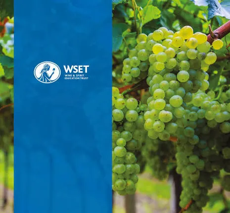 wine event